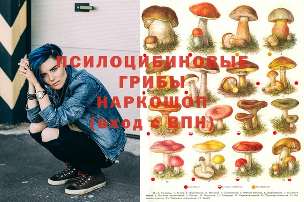 крисы Струнино