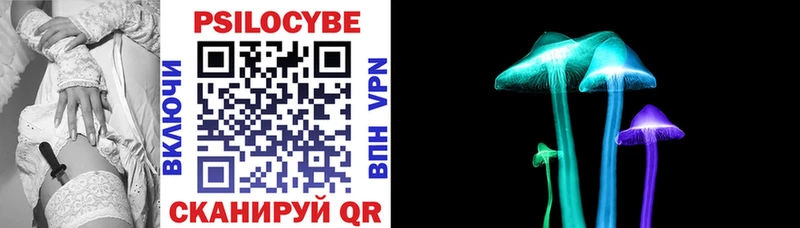 Купить где  Рубцовск  Псилоцибиновые грибы Psilocybe 